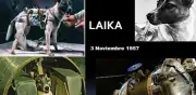 Laika, la perra cosmonauta: la verdadera historia de su trágico viaje sin retorno