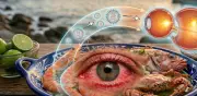 Nodavirus Marino: El Virus en Mariscos que Puede Provocar Ceguera en Humanos