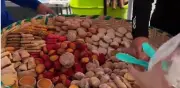 Pan de Dulce Miniaturizado Conquista TikTok: La Ternura en Cada Bocado