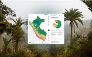 Perú lanza plataforma satelital para monitorear deforestación amazónica en tiempo real