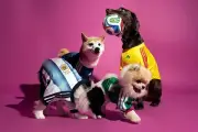 Perros lucirán playeras de selecciones en el Mundial 2026