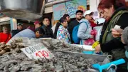 Pescado fresco de Veracruz y Tabasco abastece la Nueva Viga pese a derrame en Golfo