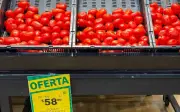 Precio del jitomate se dispara en México: consumidores reducen compras ante alza del 126%