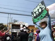 Presión por el retorno de Los Franciscanitos y polémica por matanza de perros en Tecámac