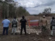 Profepa clausura zona de Calakmul por deforestación ilegal en Campeche