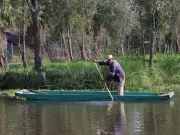 Proponen Día de la Chinampera y Chinampero en CDMX para reconocer sistema agrícola milenario