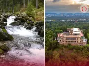 Proyecto ambicioso: planean crear río natural en la Cuarta Sección del Bosque de Chapultepec