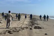 Recolectan casi 890 toneladas de hidrocarburo tras derrame en Veracruz