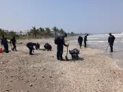 Recuperan 889 toneladas de hidrocarburo en Golfo de México tras derrame