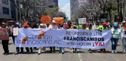 Refugio Franciscano anuncia bloqueos en Reforma para exigir devolución de más de 800 animales