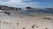 Sargazo da tregua en playas de Quintana Roo, pero turismo no se recupera