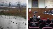 SCJN Blinda el Lago de Texcoco como Área Natural Protegida y Declara Constitucional Decreto Ambiental