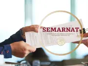 Semarnat simplifica trámites ambientales: fusiona procesos y reduce tiempos