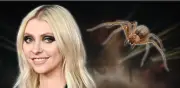 Taylor Momsen mordida por araña violinista antes de show con AC/DC en México