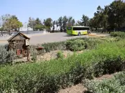 Tec de Monterrey Campus Guadalajara crea jardines polinizadores para biodiversidad urbana