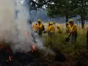 Teléfono Rojo de Edomex: Línea vital contra incendios forestales