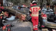 Tragedia en la México-Cuernavaca: Árbol cae y deja tres muertos y un herido en Huitzilac