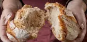 Trucos infalibles para recuperar el pan duro y evitar el desperdicio alimentario