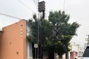Vecinos de Monterrey superan 30 horas sin electricidad tras falla de transformador