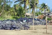 Veracruz: Recogen chapopote pero lo abandonan en bolsas, denuncian contaminación