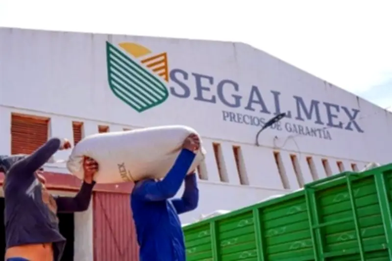 Acusan impunidad selectiva en caso Segalmex