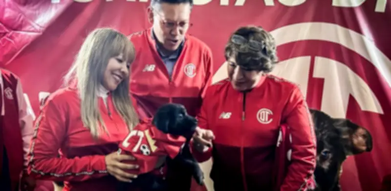 Adopta un lomito o michi en partido México vs. Serbia