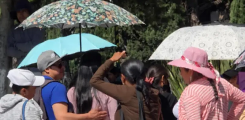 Alerta por calor en México: 13 muertos y 442 emergencias