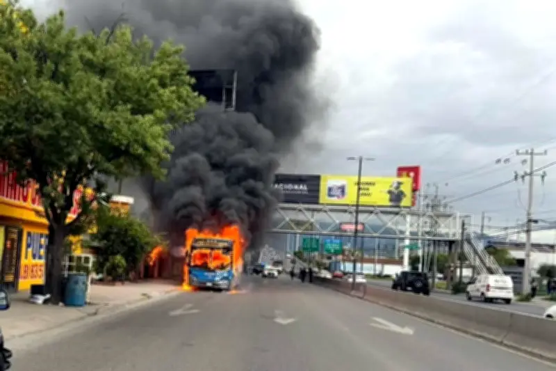 Arde camión de la Ruta 117 en San Nicolás; no hay heridos