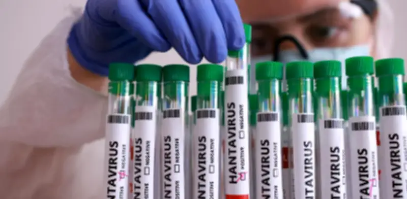 Argentina descarta cancelaciones de cruceros por hantavirus en Ushuaia
