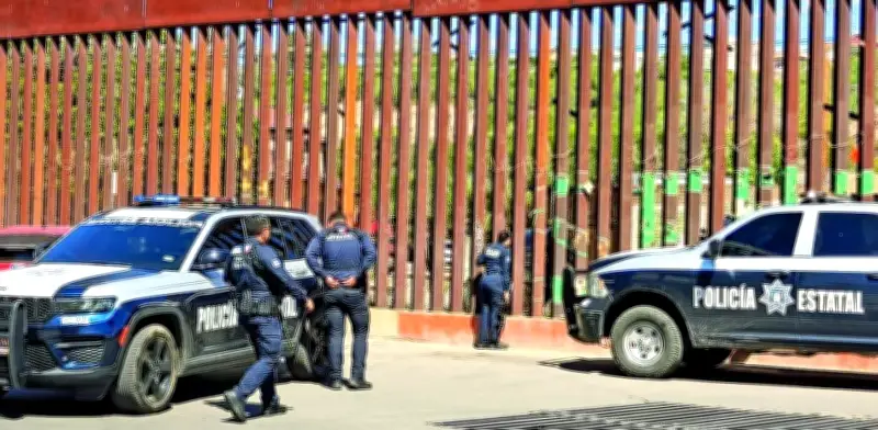 Arizona: la principal puerta de entrada de drogas a EU según la DEA