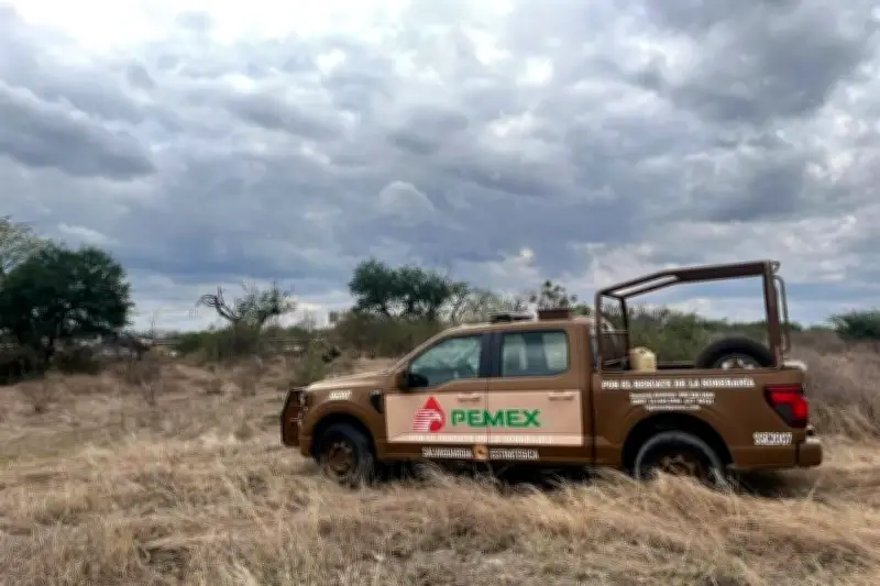 Aseguran tomas clandestinas en el sur de Tamaulipas