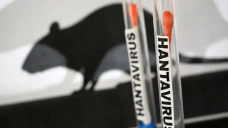 Barco con 149 personas en cuarentena por presunto brote de hantavirus