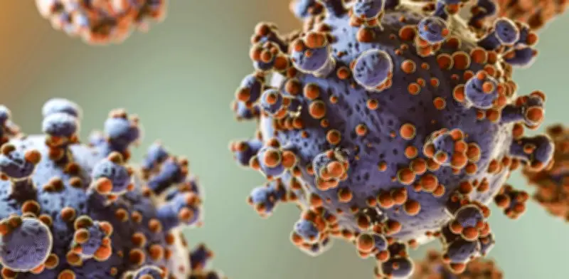 Brote de hantavirus en crucero activa operativo sanitario en Canarias