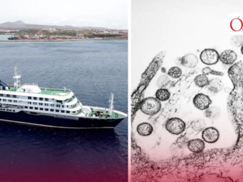 Brote de hantavirus en crucero: OMS confirma tres muertes