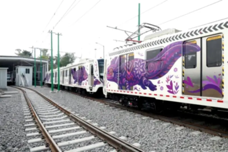 Brugada defiende uso del color morado en la CDMX