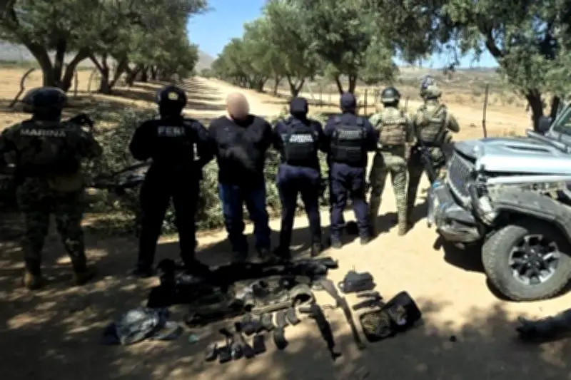 Cae 'El Checo', jefe regional del Cártel Jalisco en Baja California