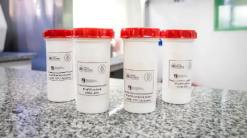 Canadá reporta primer posible caso de hantavirus en crucero MV Hondius
