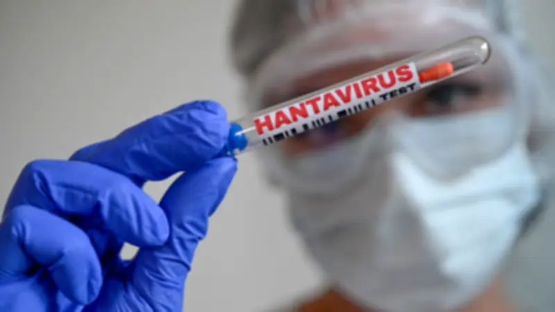Científicos piden a OMS replantear medidas por posible contagio aéreo de hantavirus