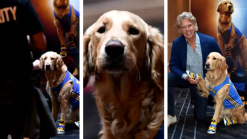 Creador de Air Bud Returns: IA no supera autenticidad de perros actores