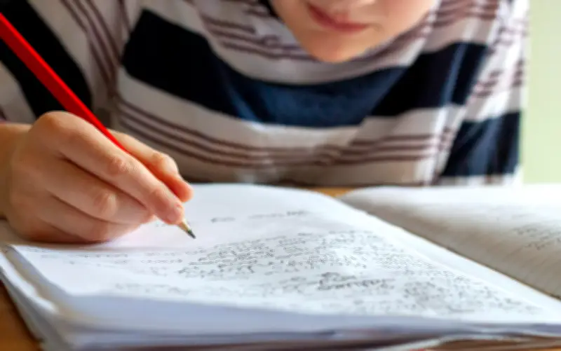 Día del Maestro en Jalisco: salario real de un profesor de primaria en 2026