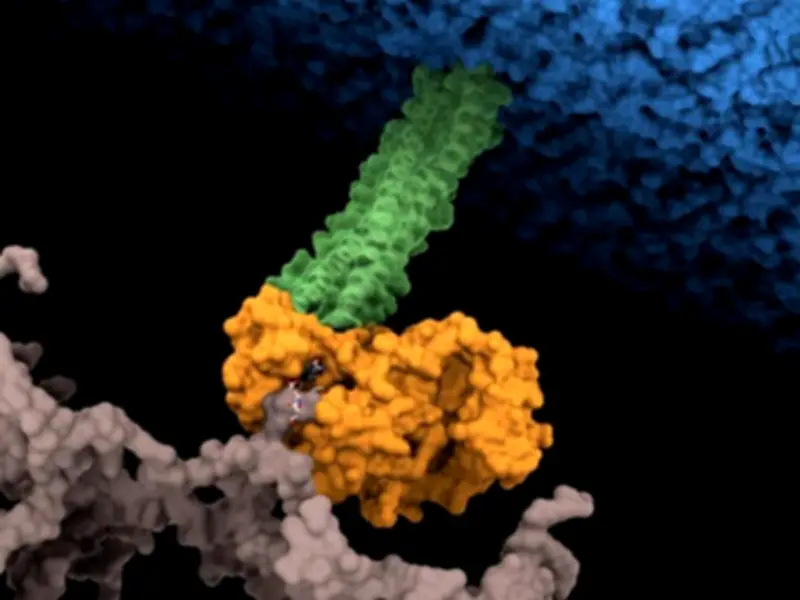 Descubren el 'remache molecular' que hace resistente a bacteria mortal