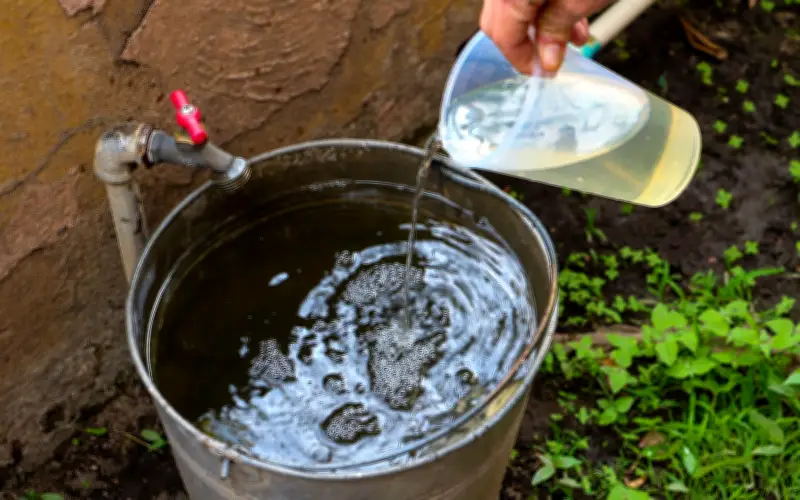 Desinfecta el agua de forma segura en temporada de calor