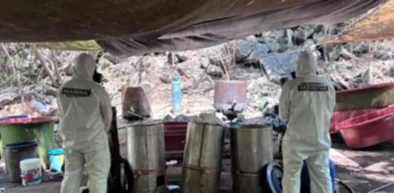Desmantelan cinco narcolaboratorios en Jalisco, Nayarit y Sinaloa