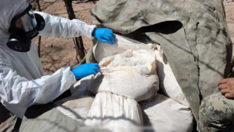 Desmantelan tres narcolaboratorios en Sinaloa; golpe económico de 923 mdp