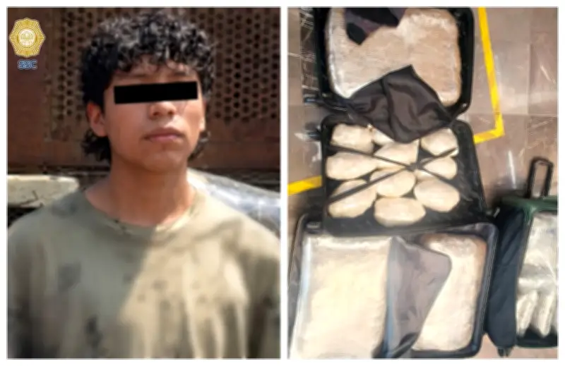 Detienen a joven con 47 kg de mariguana en TAPO, iba a Veracruz