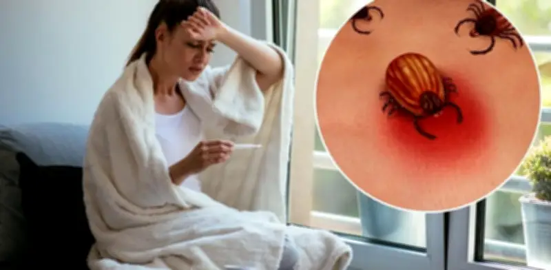 Enfermedad de Lyme: por qué se confunde con lupus y fibromialgia