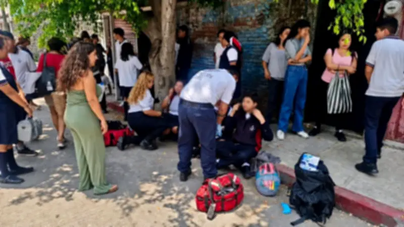 Enjambre de abejas ataca a 100 personas en escuela de Cuautla, Morelos
