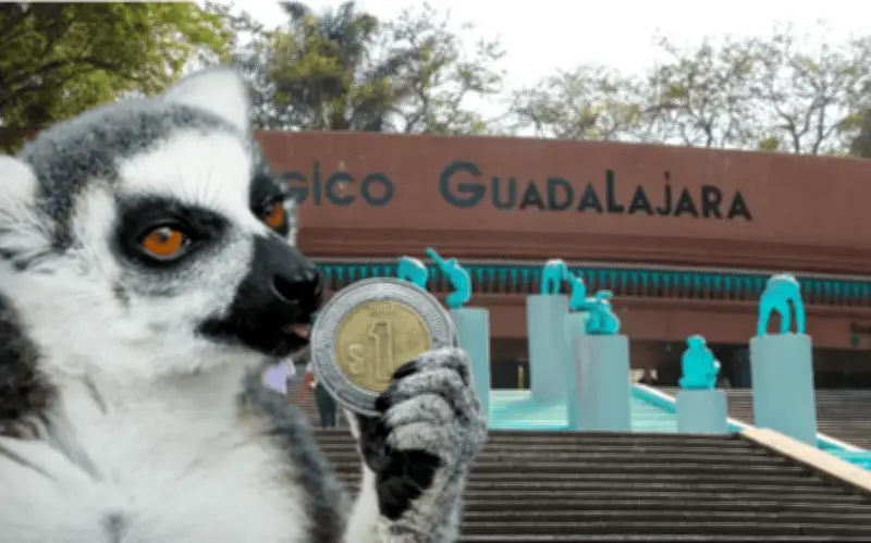 Entradas a 1 peso en Zoológico Guadalajara: ¿hasta cuándo?