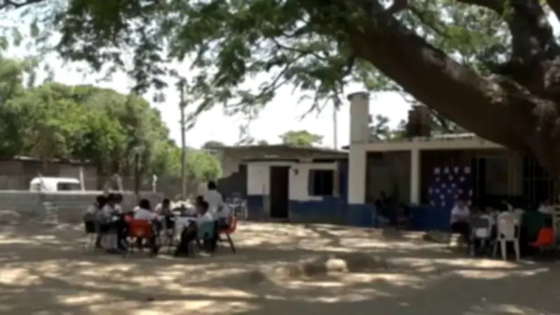 Escuela en Juchitán da clases bajo un árbol por calor extremo