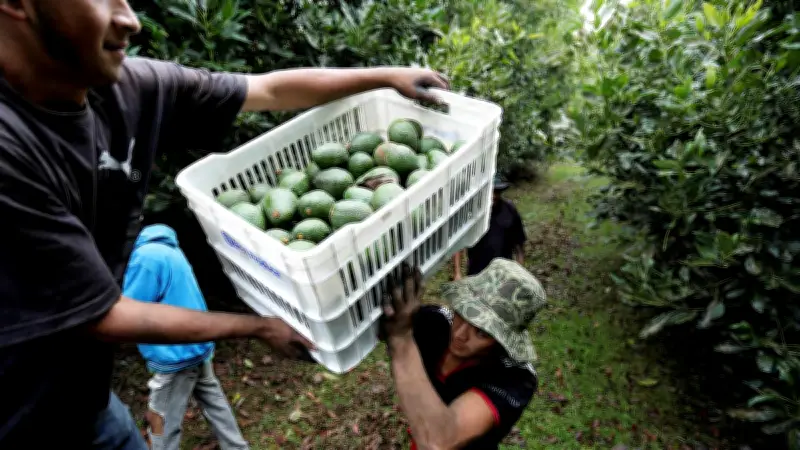 Exportaciones agropecuarias a UE son solo el 1.1% en primer trimestre de 2026